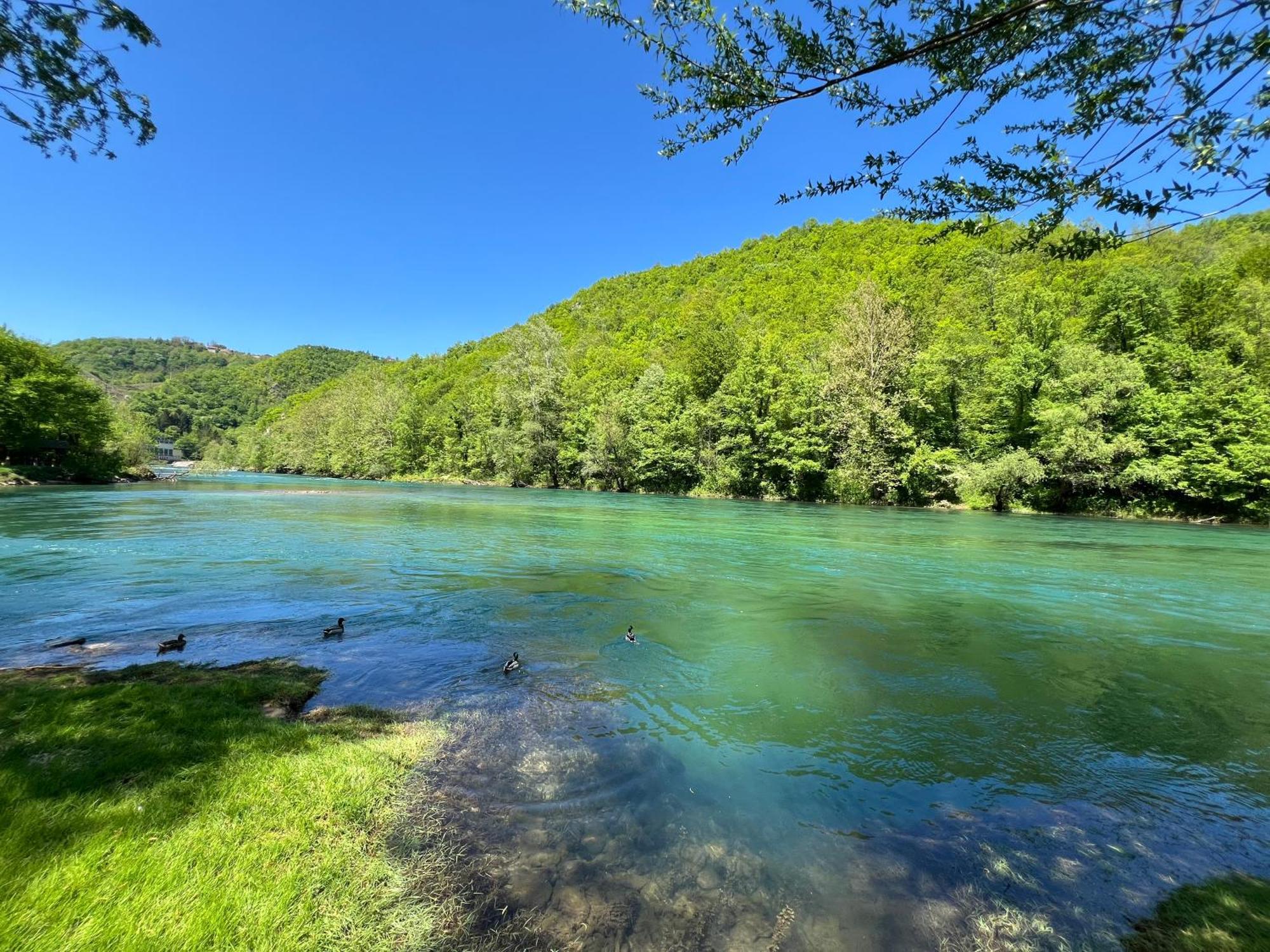 Anur Apartment Bihać Eksteriør billede
