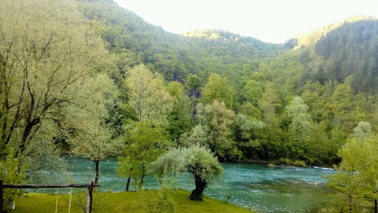 Anur Apartment Bihać Eksteriør billede